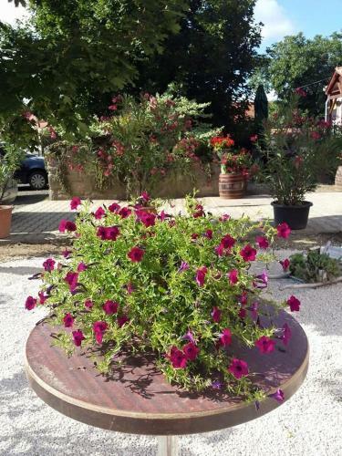 Hostal Borosty�nkert �tterem & Vend�gh�z