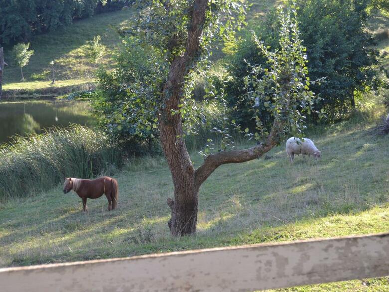 Agroturismo Casona Dos Lagos