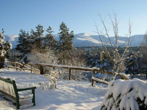 Cairngorm Lodge Youth Hostel