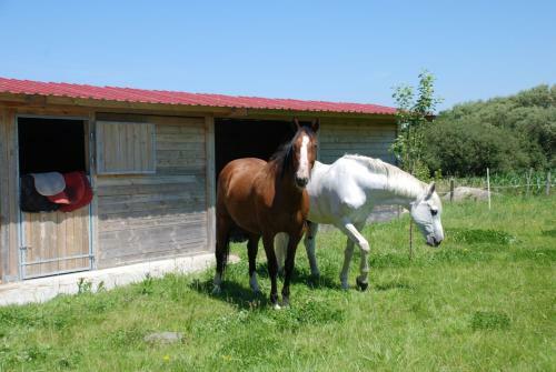 Cottage Maison Drogou O Bien-�tre Massage
