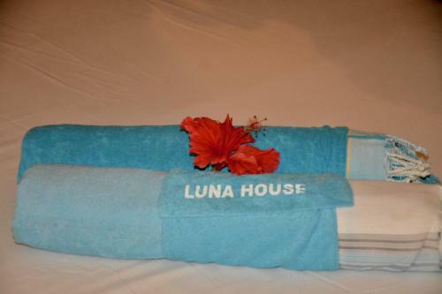Bed & Breakfast Luna House Moyo Wa Dunia Ltd