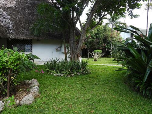 Bed & Breakfast Luna House Moyo Wa Dunia Ltd