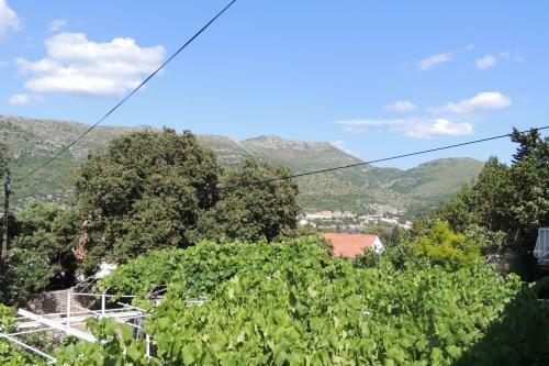 Apartments Lidija