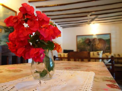 Apartamento Eden House Cottages