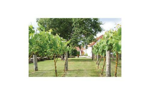 Holiday Home Damsagervej