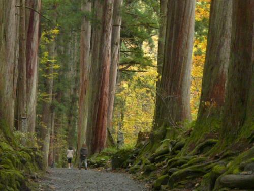 Hotel Sunroute Nagano-higashiguchi