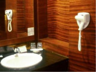 The Arista Hotel Palembang