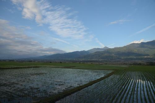 Bed & Breakfast Lost And Find Homestay