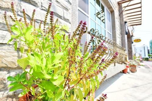 Kenting Garden Homestay