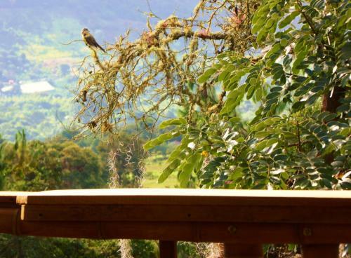 Hotel Finca El Cielo