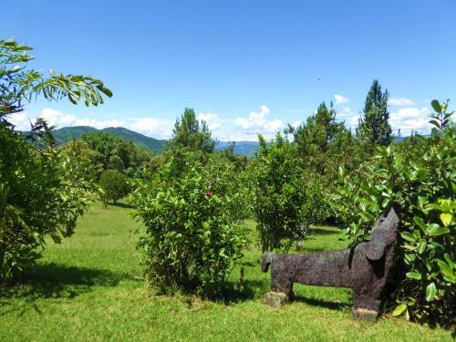 Hotel Finca El Cielo