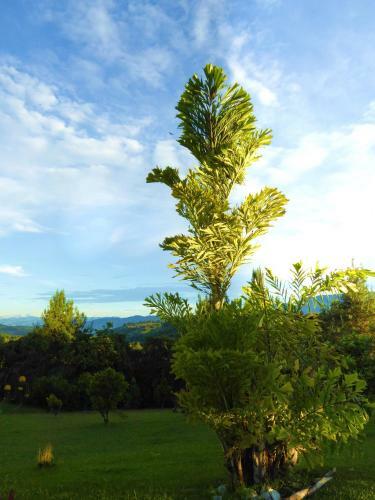 Hotel Finca El Cielo