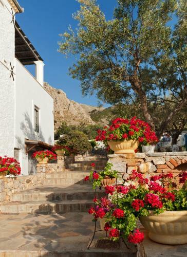 Hostal Four Seasons Hydra Luxury Suites