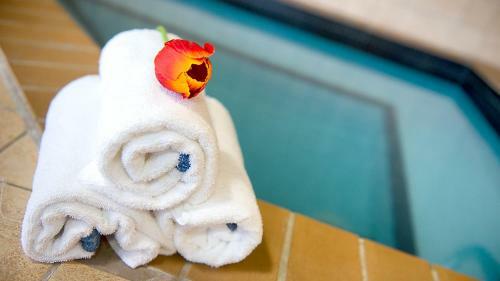 Holiday Inn Hotel & Suites Mississauga