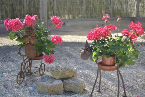 Bed & Breakfast Le Moulin De Lusseau