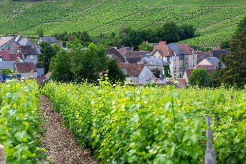 Hotel La Cote Des Monts Damn�s