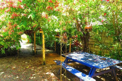 Albergue Fata Morgana