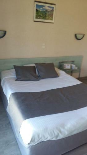 Hotel H�tel Evian Express - Terminus
