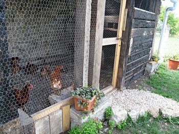 Agroturismo Casa Rural Nemesio