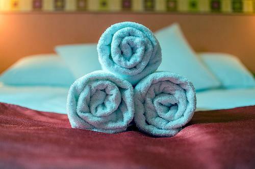 Hostal Arany Patk� Panzi� & �tterem