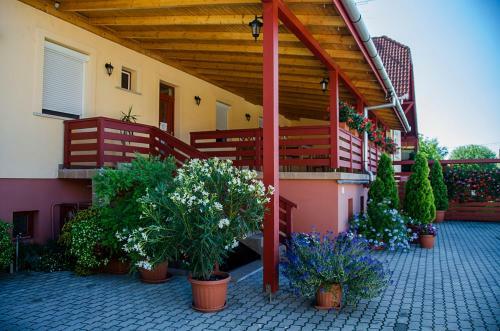 Hostal Arany Patk� Panzi� & �tterem