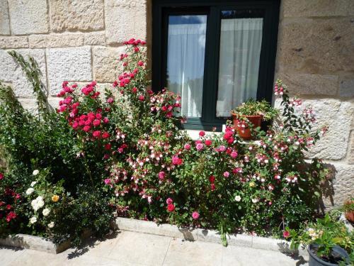 Agroturismo Casa Das P�as