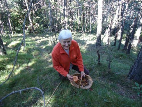 Agroturismo Mol� De Bramasacs