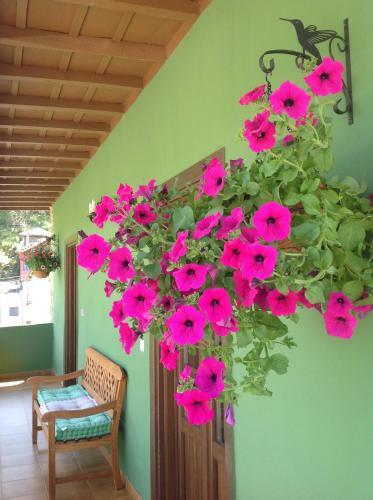 Agroturismo Casas Rurales Prieto