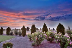 Holiday Inn Express Hotel & Suites Nampa