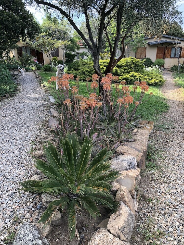 Agroturismo La Cerca Del Alcornoque