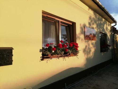 Hostal Gy�ngyszem Vend�gh�z