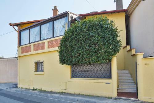 Apartamento Studio Malpeign�
