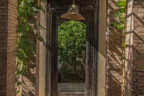 Bed & Breakfast Manzil La Tortue