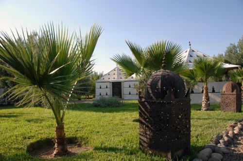 Bed & Breakfast Manzil La Tortue