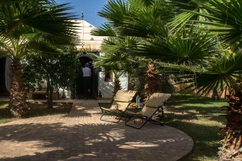 Bed & Breakfast Manzil La Tortue