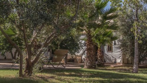 Bed & Breakfast Manzil La Tortue