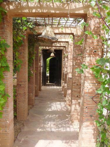 Bed & Breakfast Manzil La Tortue