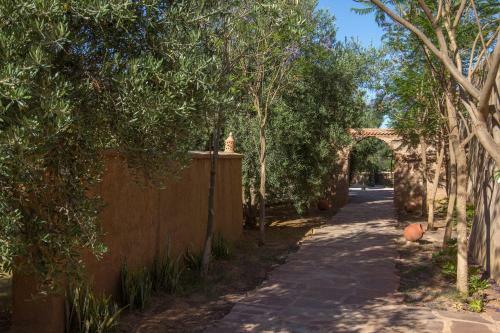 Bed & Breakfast Manzil La Tortue