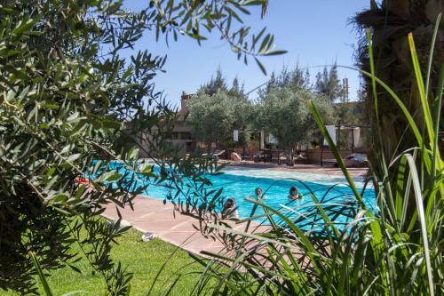 Bed & Breakfast Manzil La Tortue