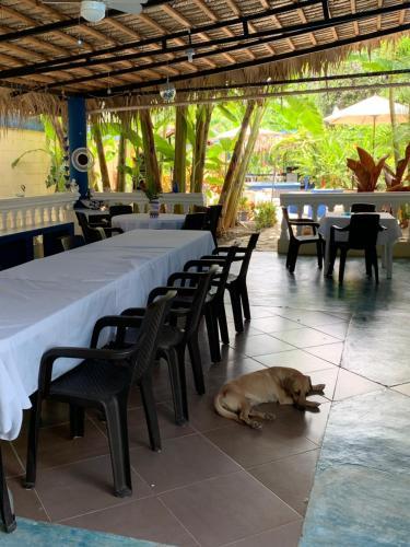 Albergue Sana El Jardin Secreto