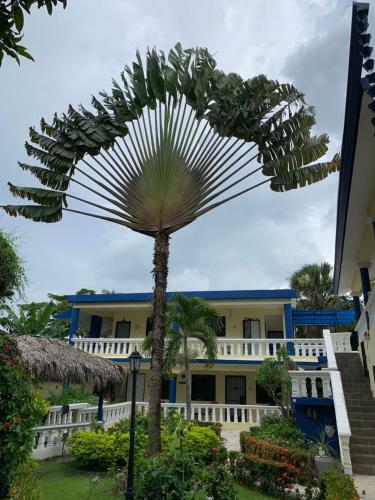 Albergue Sana El Jardin Secreto