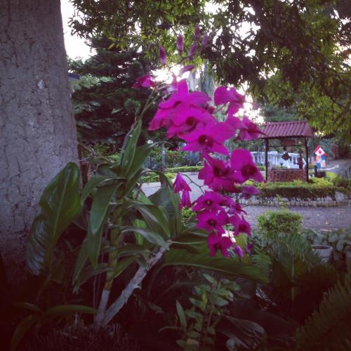 Albergue Sana El Jardin Secreto
