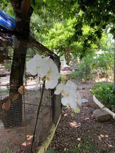 Albergue Sana El Jardin Secreto
