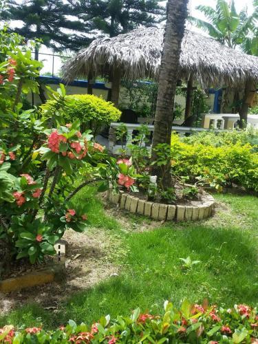 Albergue Sana El Jardin Secreto