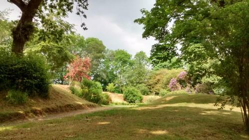 Bed And Breakfast Allt Y Rheini