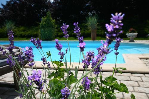 Bed & Breakfast Domaine De La Blonnerie