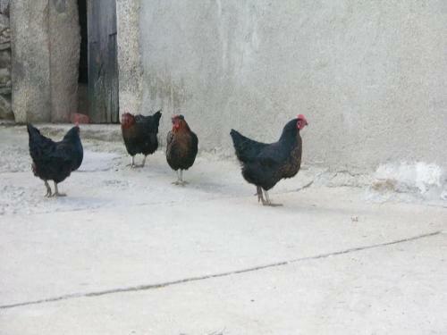 Agroturismo Casa Del Horno