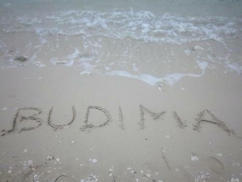 Hostal Guesthouse Budima