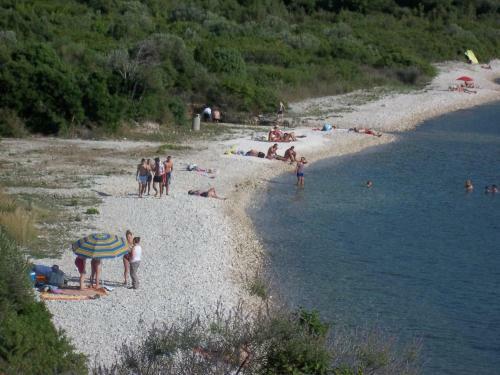Hostal Guesthouse Budima