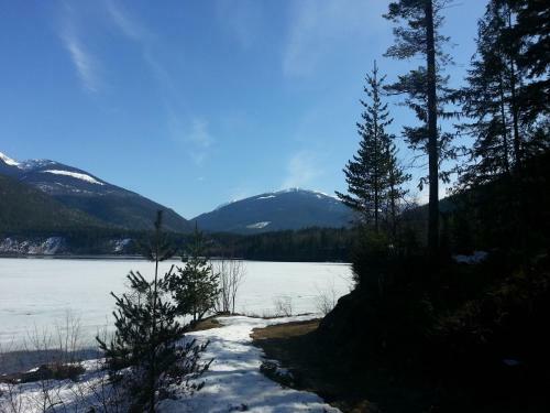 Top Hat Terrace Vacation Rental